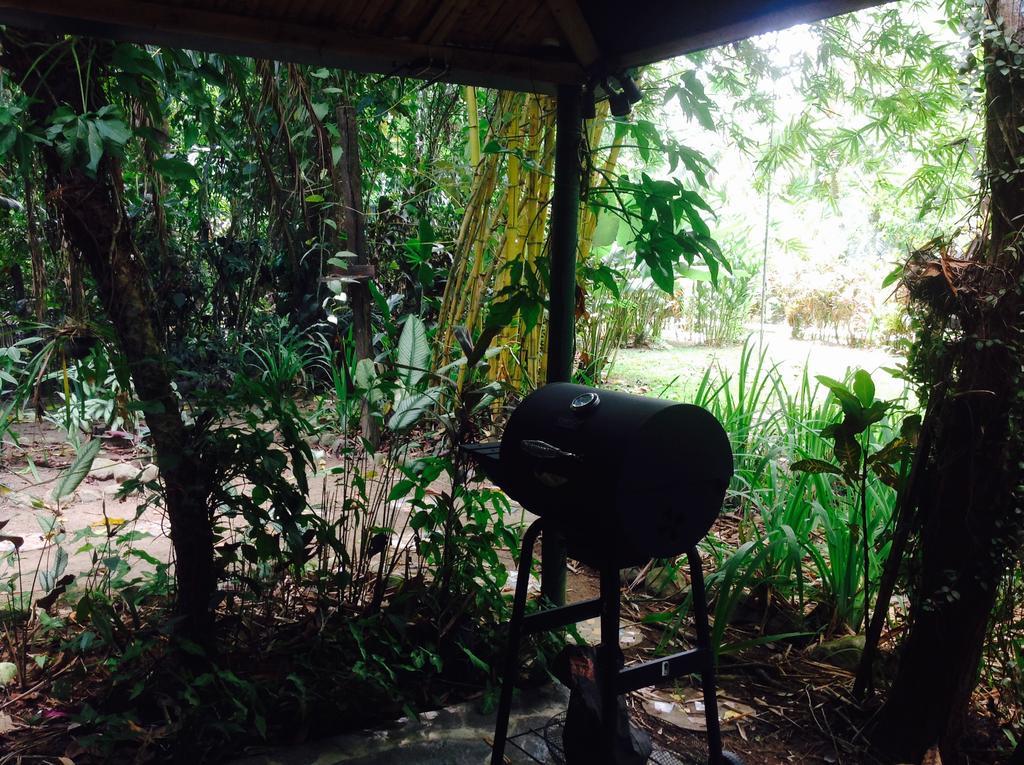 Casa Manglar Villa Puerto Jiménez エクステリア 写真