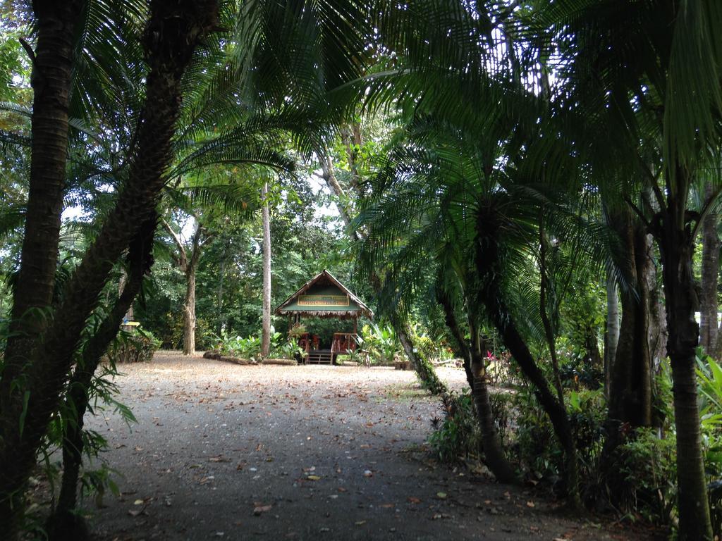 Casa Manglar Villa Puerto Jiménez エクステリア 写真